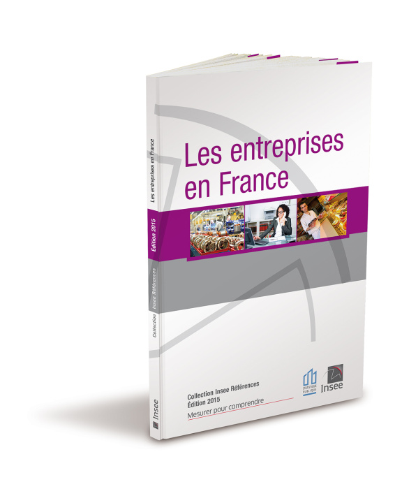 Kniha LES ENTREPRISES EN FRANCE 2015 