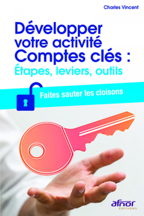 Knjiga Développer votre activité Comptes clés : étapes, leviers, outils Vincent