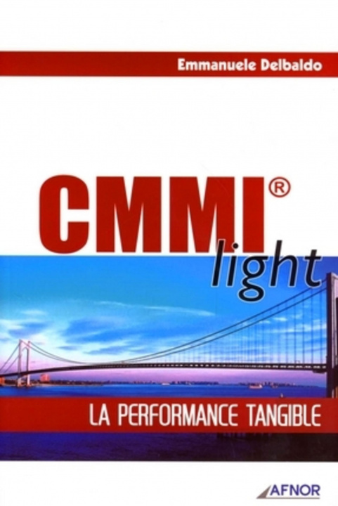 Knjiga CMMI light Delbaldo