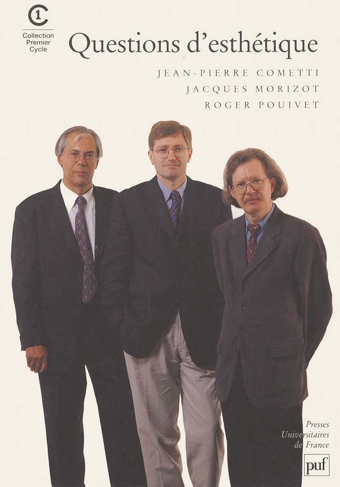 Buch Questions d'esthétique Morizot