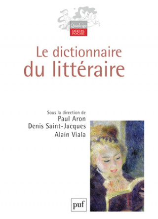Könyv Le dictionnaire du littéraire Aron