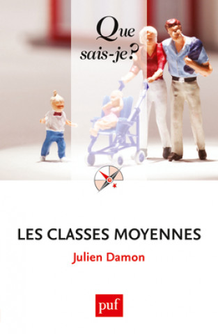 Buch Les classes moyennes Damon