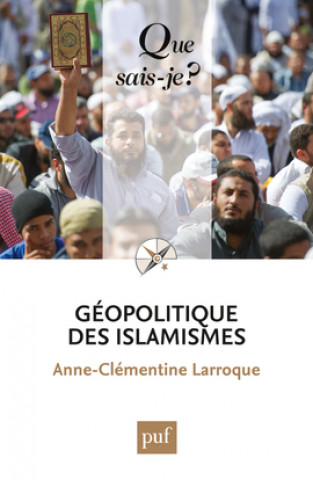 Książka GEOPOLITIQUE DES ISLAMISMES QSJ 4014 LARROQUE ANNE-CLEMENTINE