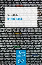 Carte Le Big Data Delort