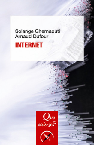 Buch Internet Dufour