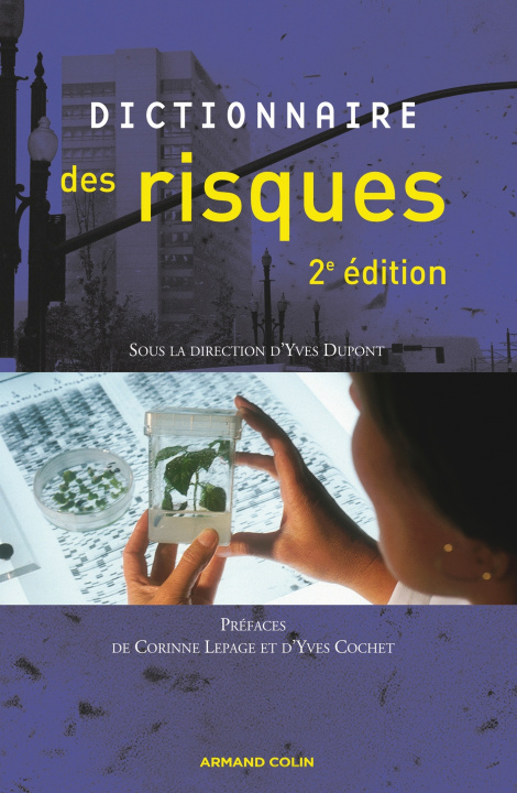 Knjiga Dictionnaire des risques 
