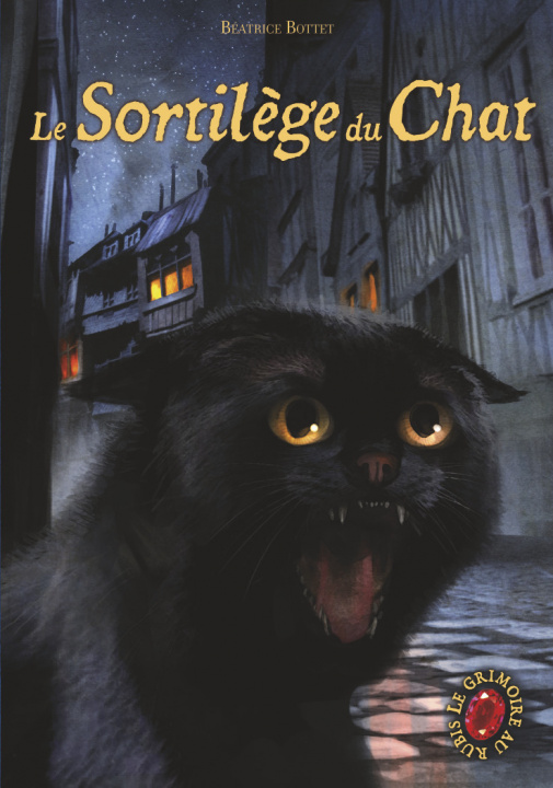 Knjiga Le grimoire au rubis Bottet