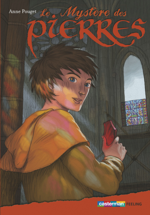 Buch Le mystère des pierres Pouget