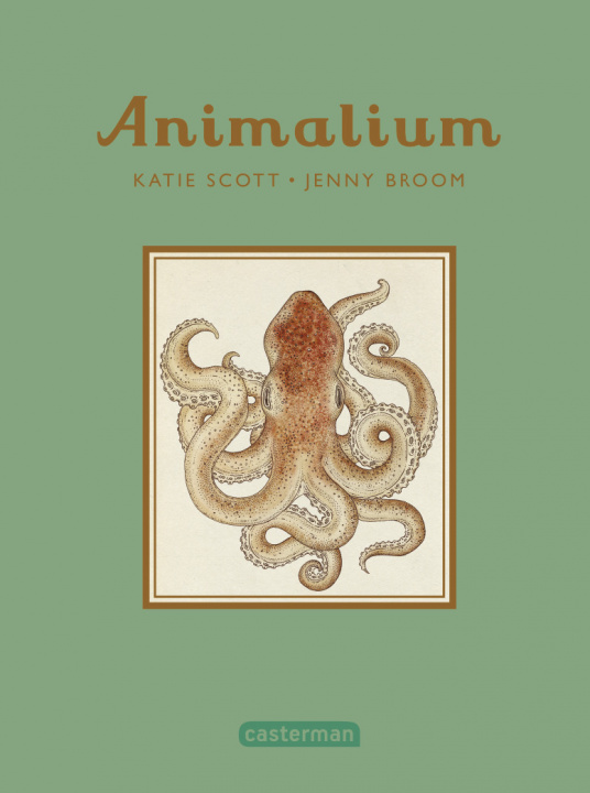 Книга Animalium Broom