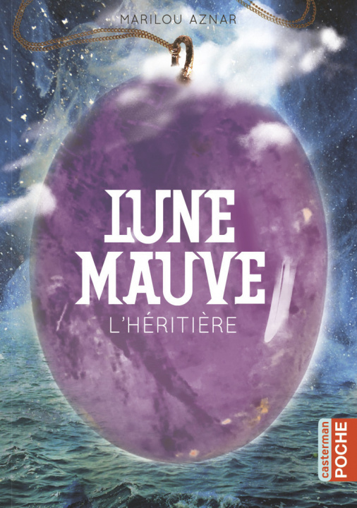 Boek L'héritière Aznar