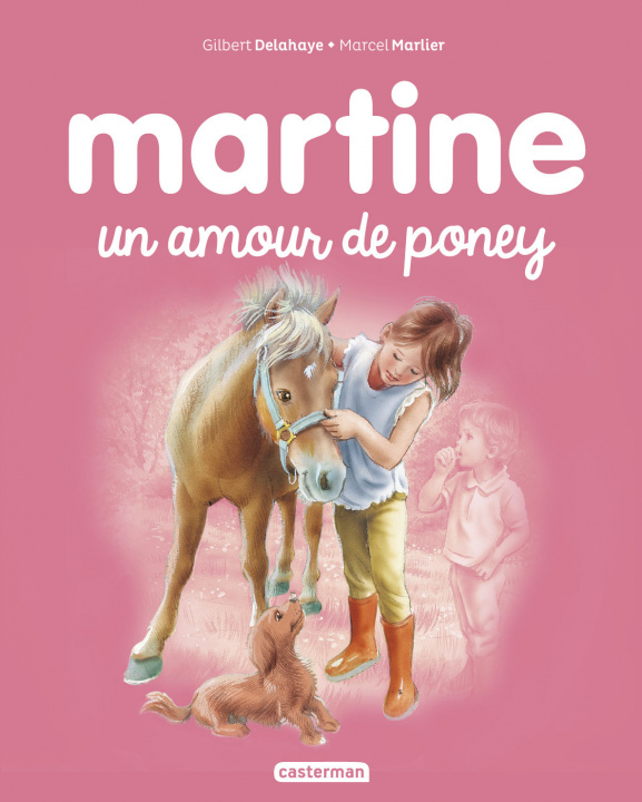 Kniha Un amour de poney Delahaye