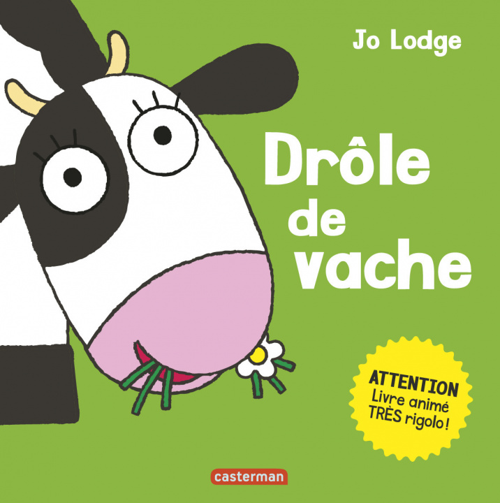 Buch Drôle de vache Lodge