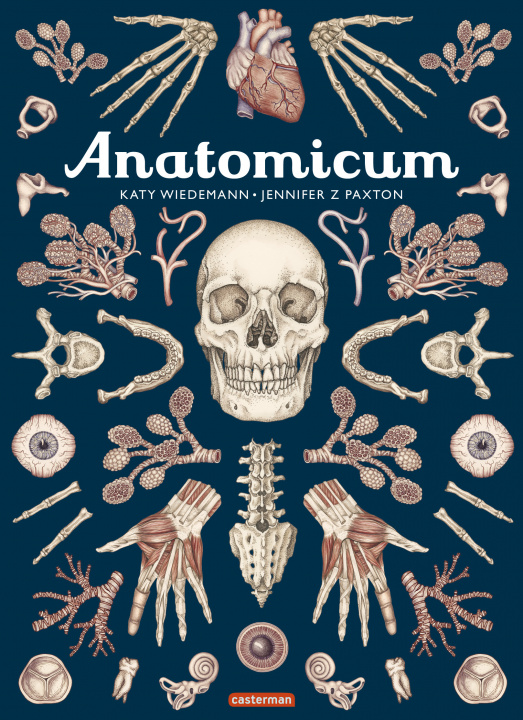 Carte Anatomicum Wiedemann