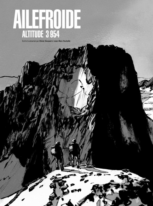 Knjiga Ailefroide - Edition Luxe OLIVIER BOCQUET / JEAN-MARC ROCHETTE
