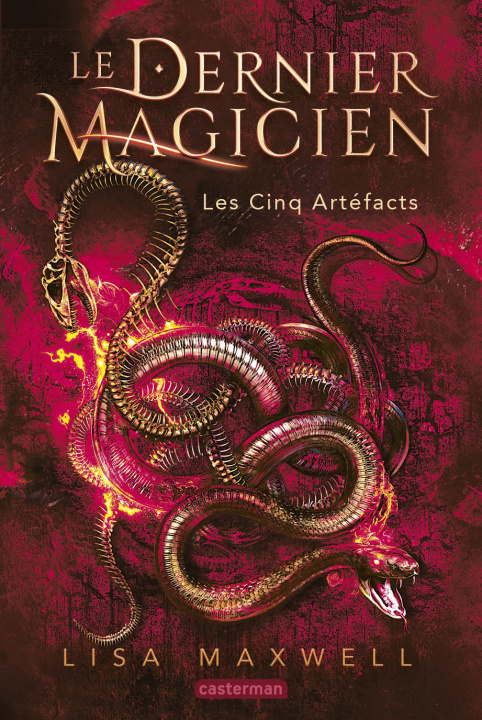 Knjiga Le Dernier Magicien Maxwell