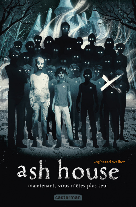 Knjiga Ash House Walker