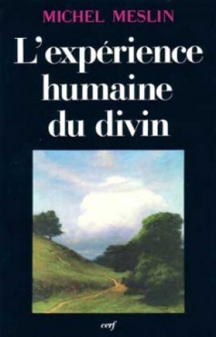 Buch L'Expérience humaine du divin Michel Meslin