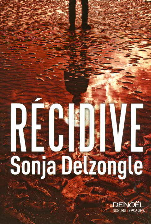 Book Récidive Delzongle