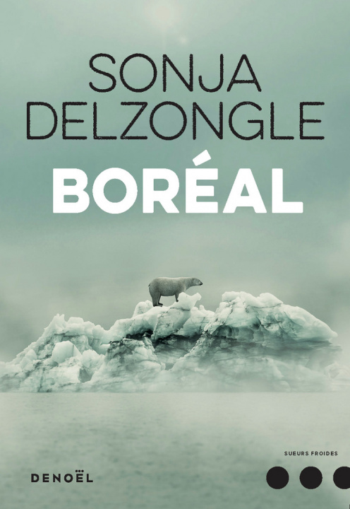 Книга Boréal Delzongle
