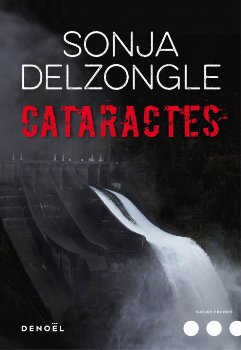 Book Cataractes Delzongle