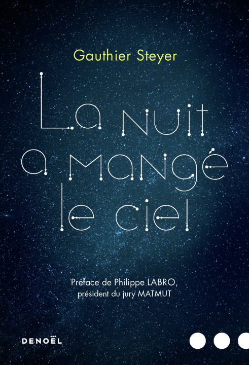 Livre La nuit a mangé le ciel Steyer