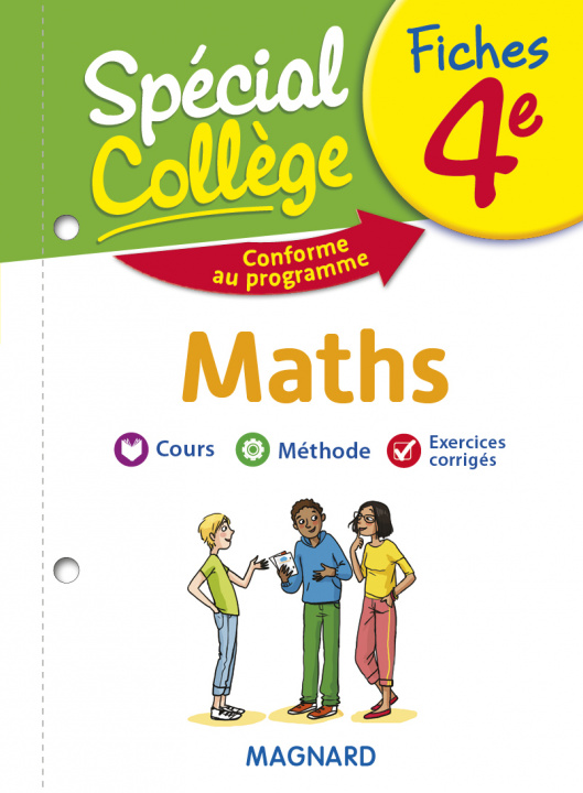 Buch Spécial Collège Fiches Maths 4e 