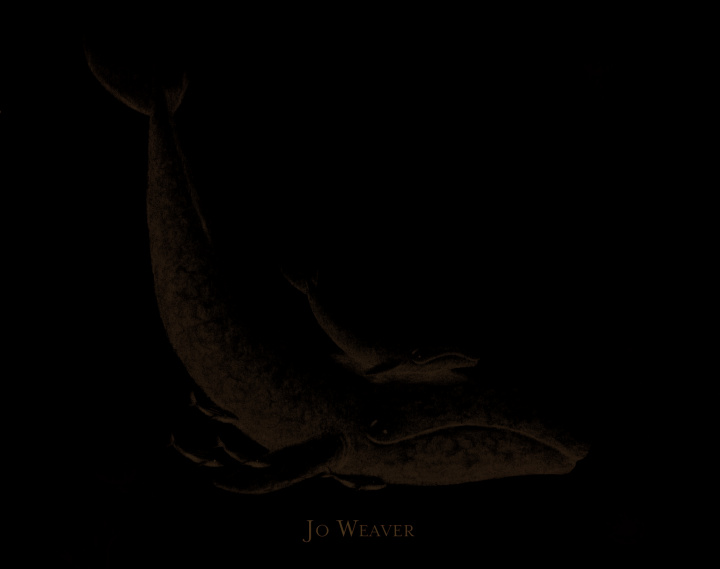 Knjiga petite baleine Weaver