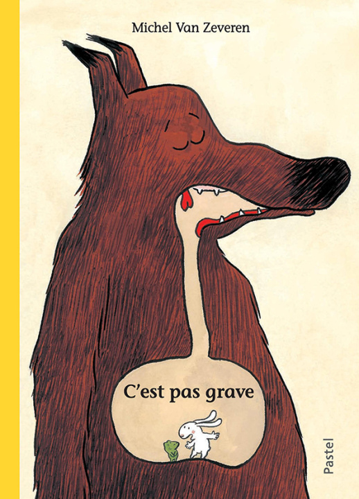 Boek c est pas grave VAN ZEVEREN MICHEL