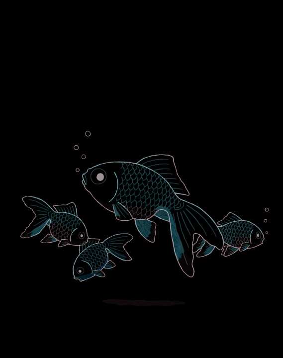 Boek Poisson rouge de namami (Le) Kasano