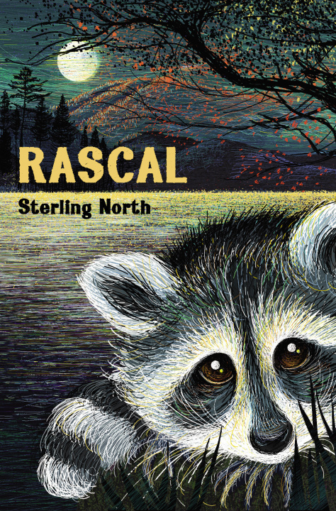 Buch Rascal (poche) NORTH