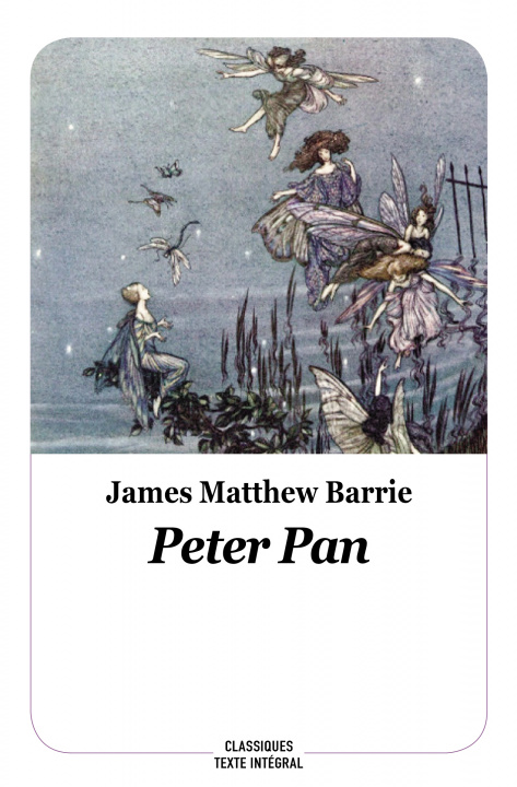 Boek PETER PAN (Texte Intégral) MATTHEW BARRIE