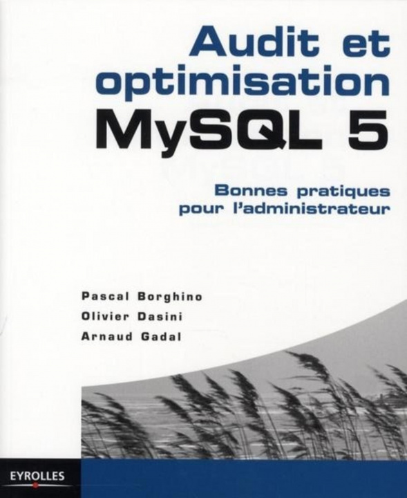 Könyv Audit et optimisation MySQL 5 Gadal