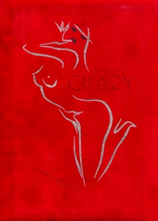 Knjiga CRAZY Kruk