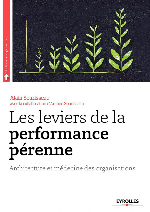 Knjiga Les leviers de la performance pérenne Sourisseau