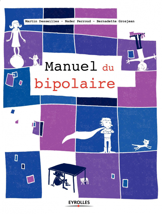 Könyv Le manuel du bipolaire Desseilles