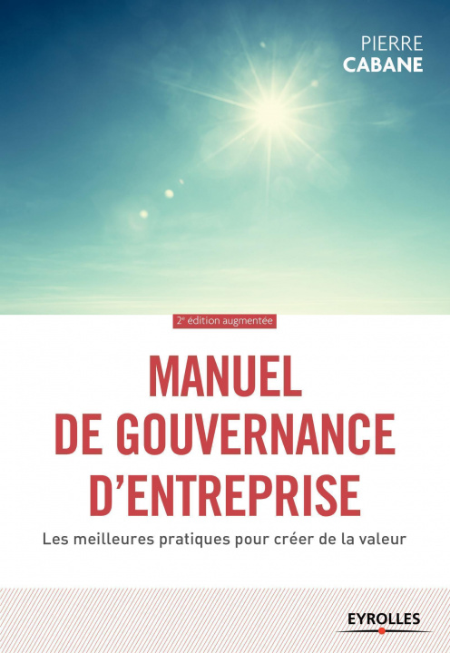 Buch Manuel de gouvernance d'entreprise Cabane