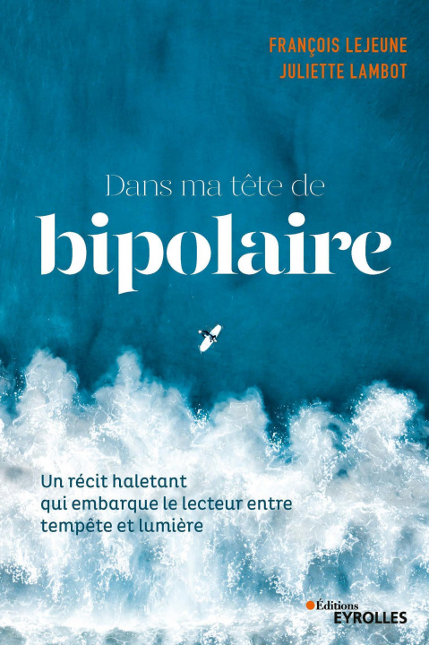 Книга Dans ma tête de bipolaire Lambot