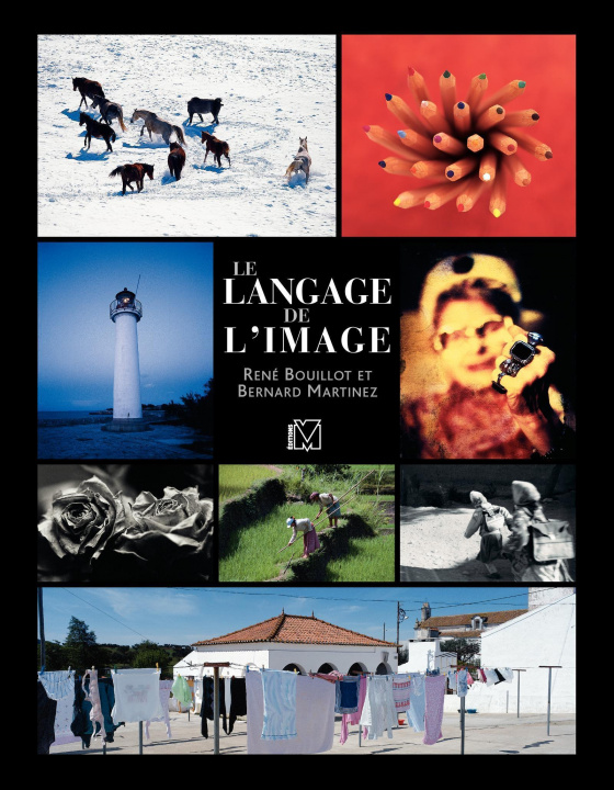 Buch Le langage de l'image Bouillot