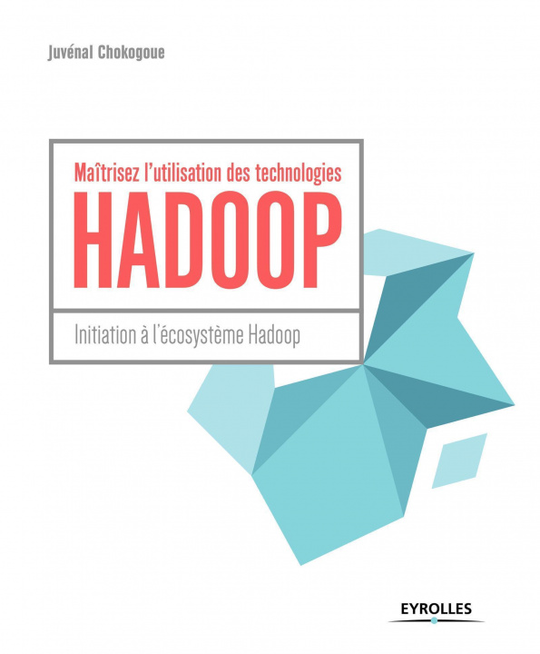 Knjiga Maîtrisez l'utilisation des technologies Hadoop CHOKOGOUE
