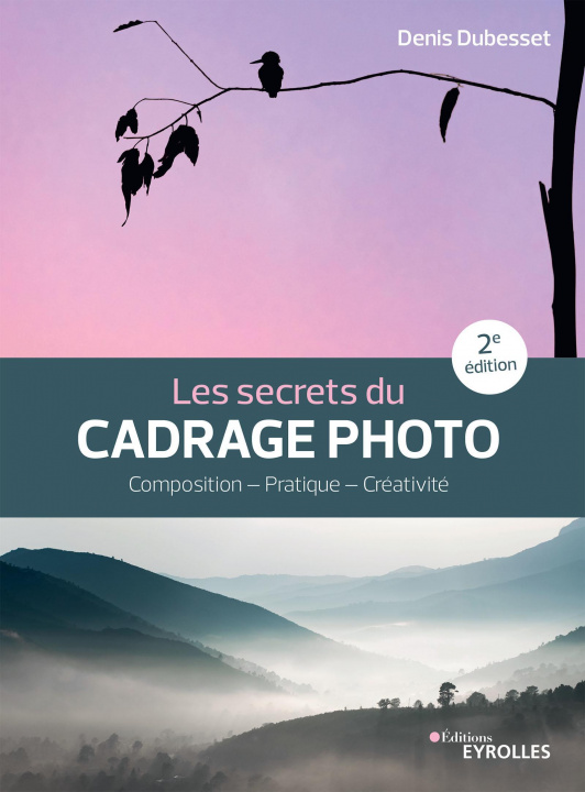 Kniha Les secrets du cadrage photo Dubesset