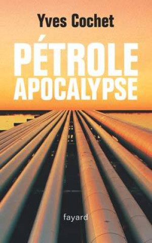Book Pétrole apocalypse Yves Cochet