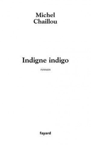Book Indigne indigo Michel Chaillou