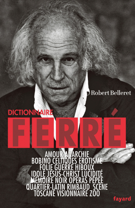 Buch DICTIONNAIRE FERRE Robert Belleret