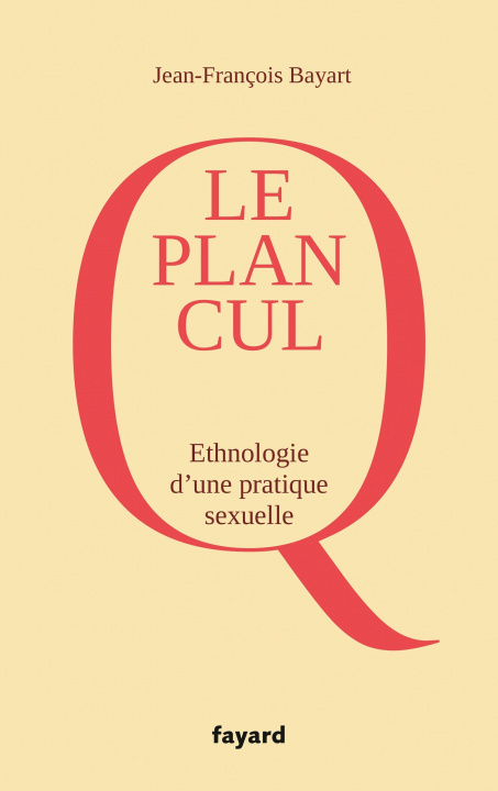 Knjiga LE PLAN Q Jean-François Bayart