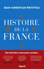 Carte Histoire de la France Jean-Christian Petitfils