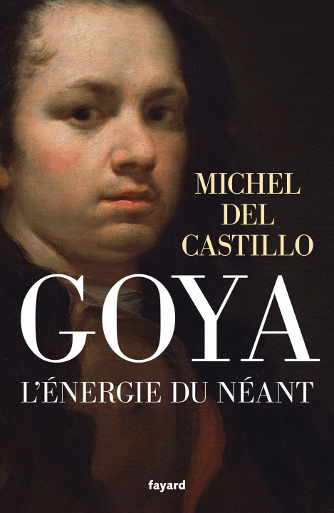 Book Goya Michel del Castillo