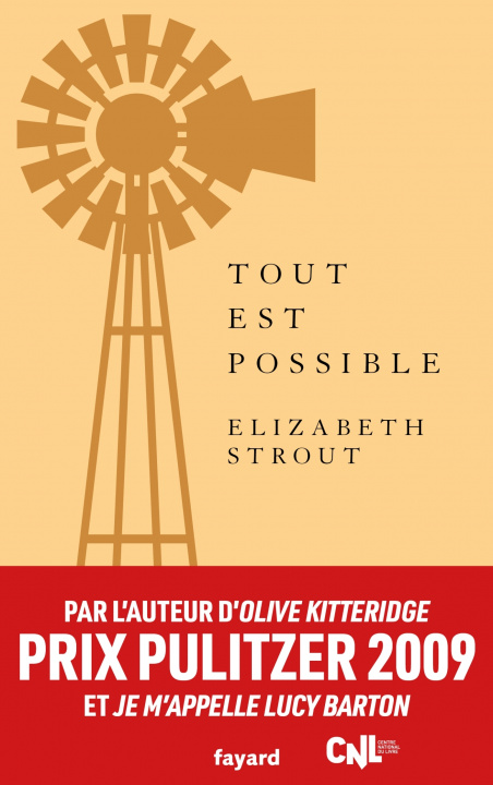 Knjiga Tout est possible Elizabeth Strout