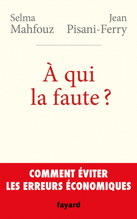 Buch A QUI LA FAUTE Jean Pisani-Ferry