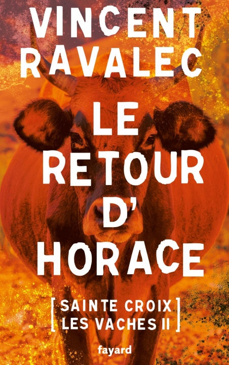 Kniha Le retour d'Horace Vincent Ravalec