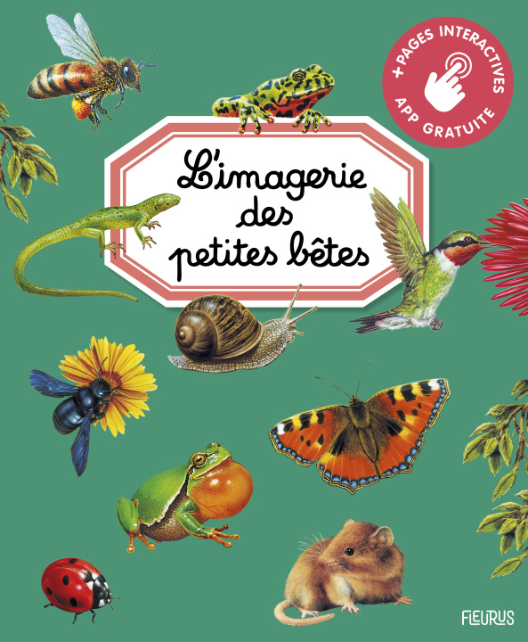 Könyv L'imagerie des petites bêtes (interactive) Julie Delfour
